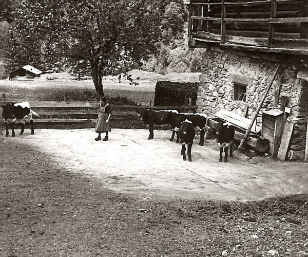 The alpine barn of the Breitlehenalm in Obertauern